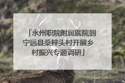 永州职院附属医院到宁远县桑梓头村开展乡村振兴专题调研