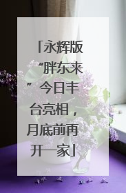 永辉版“胖东来”今日丰台亮相，月底前再开一家