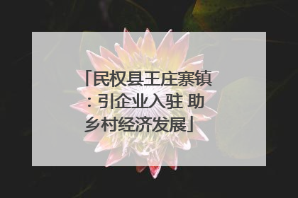 民权县王庄寨镇：引企业入驻 助乡村经济发展