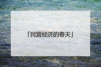 民营经济的春天
