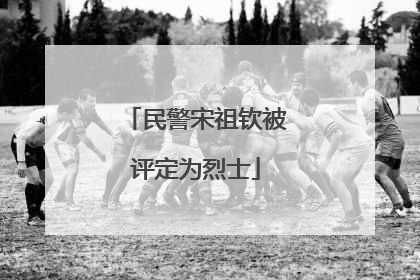 民警宋祖钦被评定为烈士