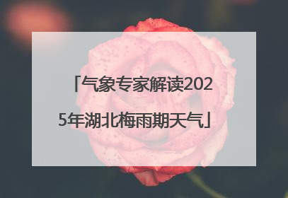 气象专家解读2025年湖北梅雨期天气