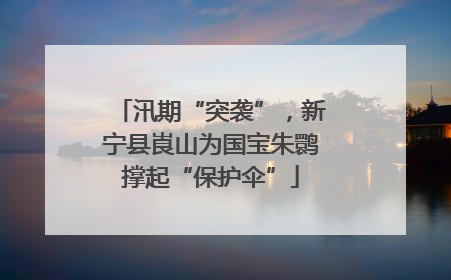 汛期“突袭”，新宁县崀山为国宝朱鹮撑起“保护伞”