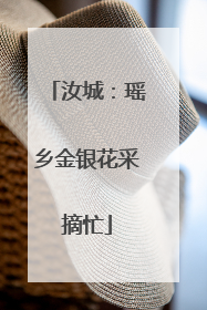 汝城：瑶乡金银花采摘忙
