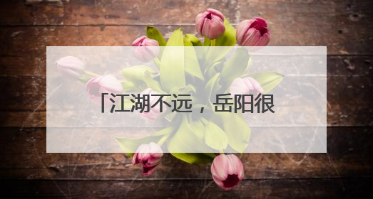 江湖不远，岳阳很近！全国网络媒体“湖南e周”主题宣传活动在岳阳启动