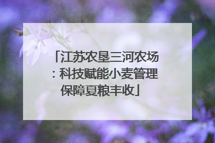江苏农垦三河农场：科技赋能小麦管理保障夏粮丰收