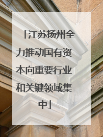 江苏扬州全力推动国有资本向重要行业和关键领域集中