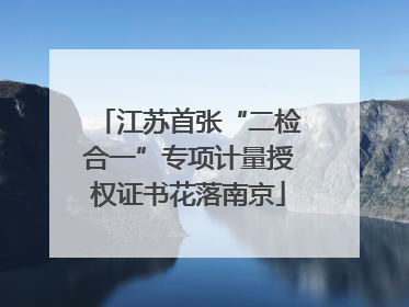 江苏首张“二检合一”专项计量授权证书花落南京