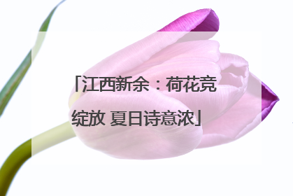 江西新余：荷花竞绽放 夏日诗意浓