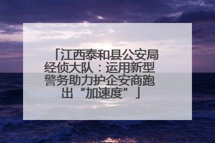 江西泰和县公安局经侦大队：运用新型警务助力护企安商跑出“加速度”