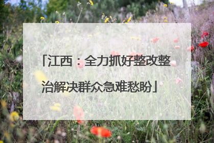 江西：全力抓好整改整治解决群众急难愁盼