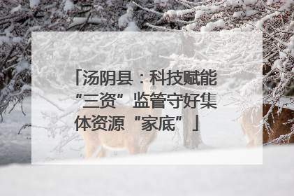 汤阴县：科技赋能“三资”监管守好集体资源“家底”
