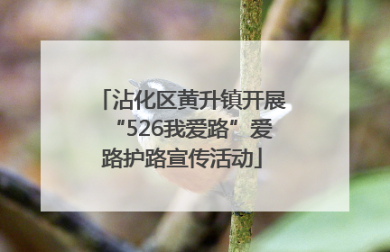 沾化区黄升镇开展“526我爱路”爱路护路宣传活动