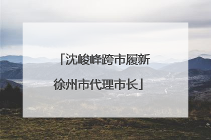 沈峻峰跨市履新徐州市代理市长