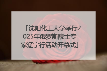 沈阳化工大学举行2025年俄罗斯院士专家辽宁行活动开幕式