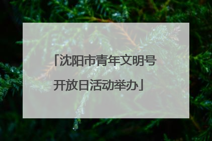 沈阳市青年文明号开放日活动举办