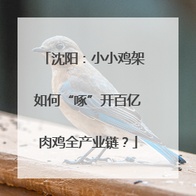 沈阳：小小鸡架如何“啄”开百亿肉鸡全产业链？