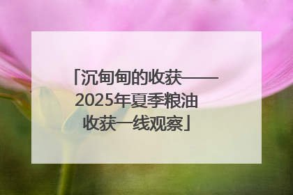 沉甸甸的收获——2025年夏季粮油收获一线观察