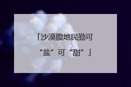 沙漠腹地民勤可“盐”可“甜”