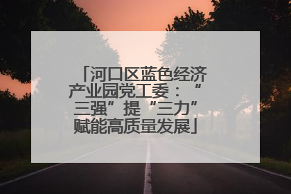 河口区蓝色经济产业园党工委：“三强”提“三力”赋能高质量发展