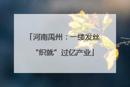 河南禹州：一缕发丝“织就”过亿产业