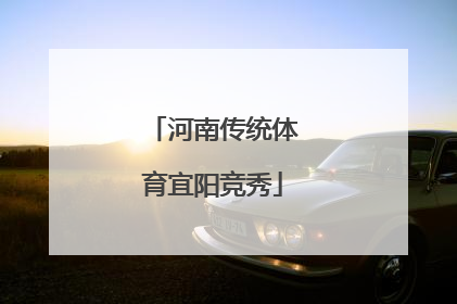 河南传统体育宜阳竞秀