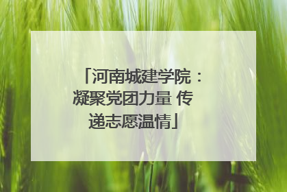 河南城建学院：凝聚党团力量 传递志愿温情