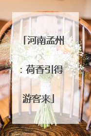 河南孟州：荷香引得游客来