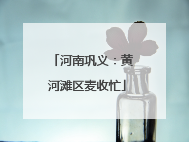 河南巩义：黄河滩区麦收忙