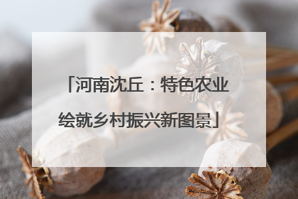 河南沈丘：特色农业绘就乡村振兴新图景