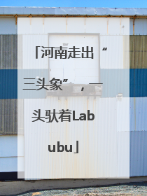河南走出“三头象”，一头驮着Labubu