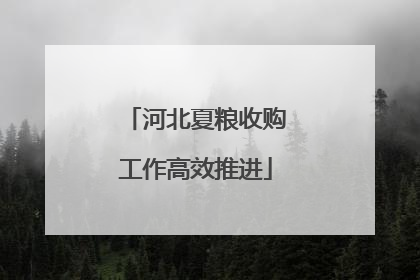 河北夏粮收购工作高效推进