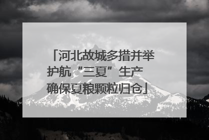 河北故城多措并举护航“三夏”生产 确保夏粮颗粒归仓