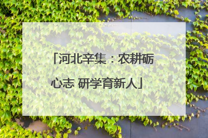河北辛集：农耕砺心志 研学育新人