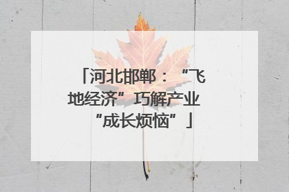 河北邯郸：“飞地经济”巧解产业“成长烦恼”