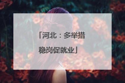 河北：多举措稳岗促就业