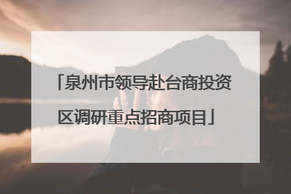 泉州市领导赴台商投资区调研重点招商项目