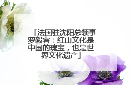 法国驻沈阳总领事罗毅睿：红山文化是中国的瑰宝，也是世界文化遗产