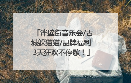 泮壁街音乐会/古城躲猫猫/品牌福利3天狂欢不停歇！