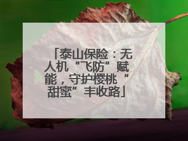泰山保险：无人机“飞防”赋能，守护樱桃“甜蜜”丰收路