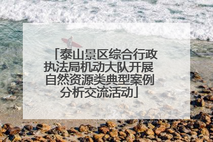 泰山景区综合行政执法局机动大队开展自然资源类典型案例分析交流活动
