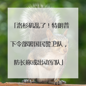 洛杉矶乱了！特朗普下令部署国民警卫队，防长称或出动军队