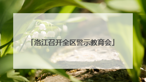 洛江召开全区警示教育会