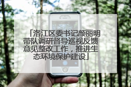 洛江区委书记颜丽明带队调研督导巡视反馈意见整改工作，推进生态环境保护建设