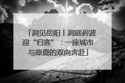洞见岳阳丨洞庭碧波迎“归客”：一座城市与麋鹿的双向奔赴