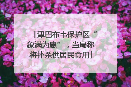津巴布韦保护区“象满为患”，当局称将扑杀供居民食用
