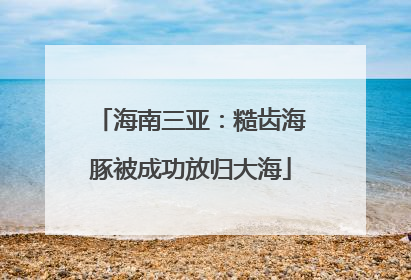 海南三亚：糙齿海豚被成功放归大海