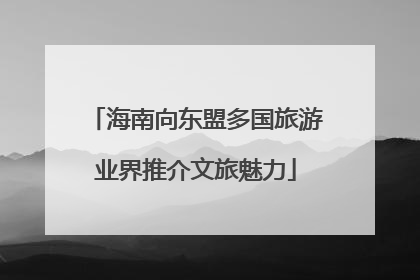 海南向东盟多国旅游业界推介文旅魅力