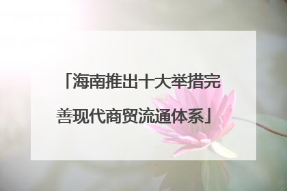 海南推出十大举措完善现代商贸流通体系