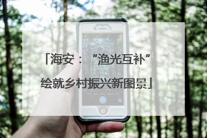海安：“渔光互补” 绘就乡村振兴新图景